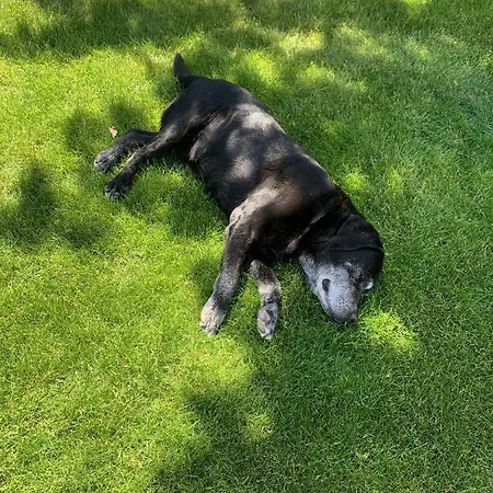 Im Harz Niehoff * Ohrenfeld